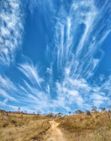 Serras Gerais - Tocantins